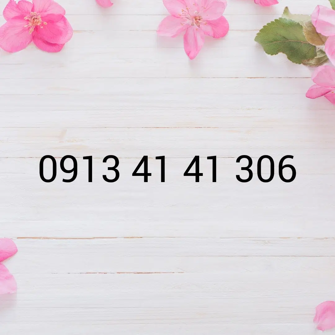 09134141306|سیم‌کارت|اصفهان, سروستان|دیوار