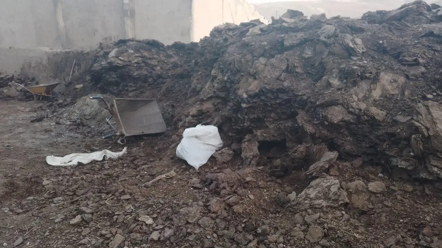 کود حیوانی گوسفندی رایگان|گل و گیاه طبیعی|باسمنج, |دیوار