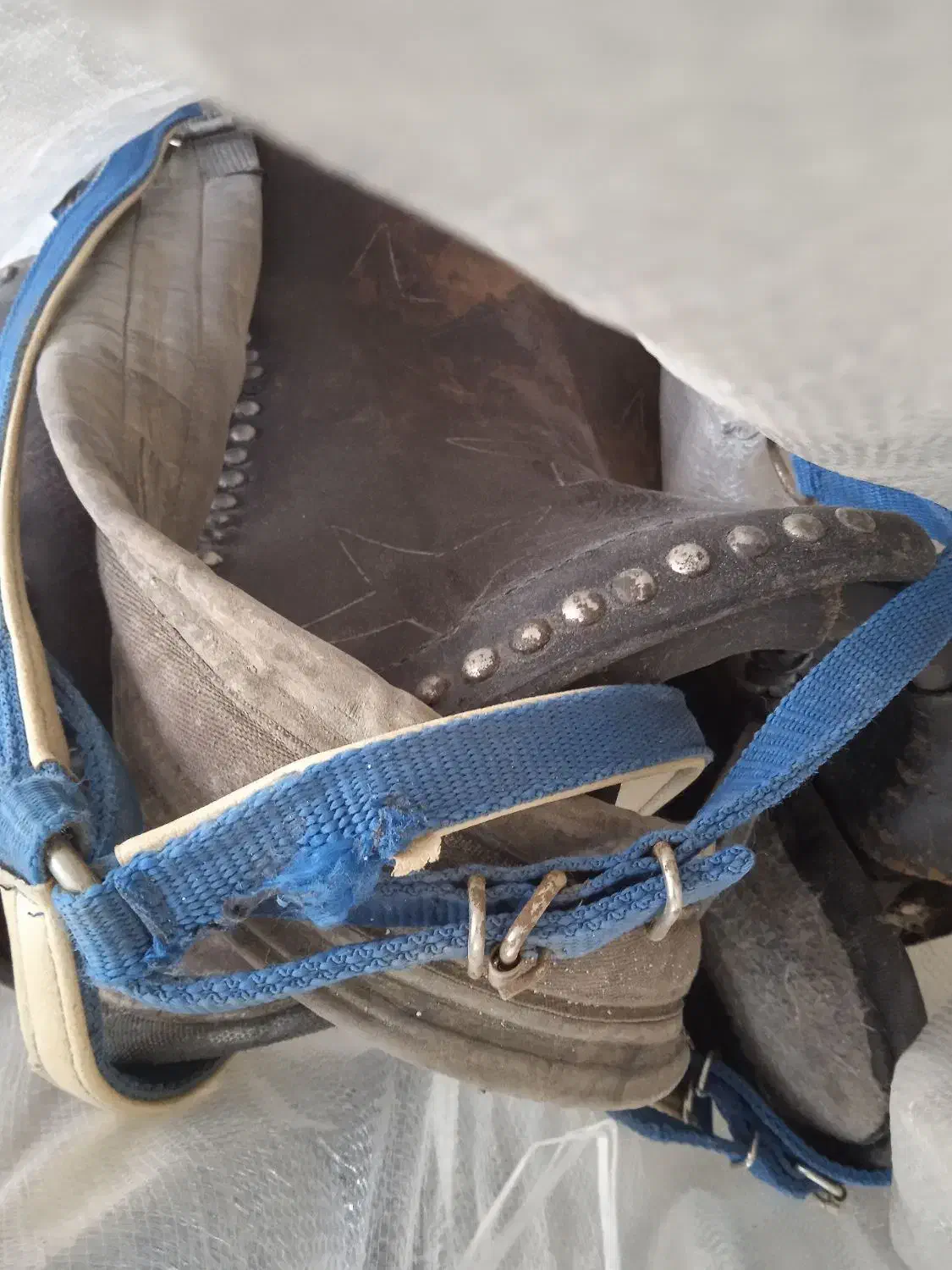 زین اسب|اسب و تجهیزات اسب‌سواری|سنندج, |دیوار