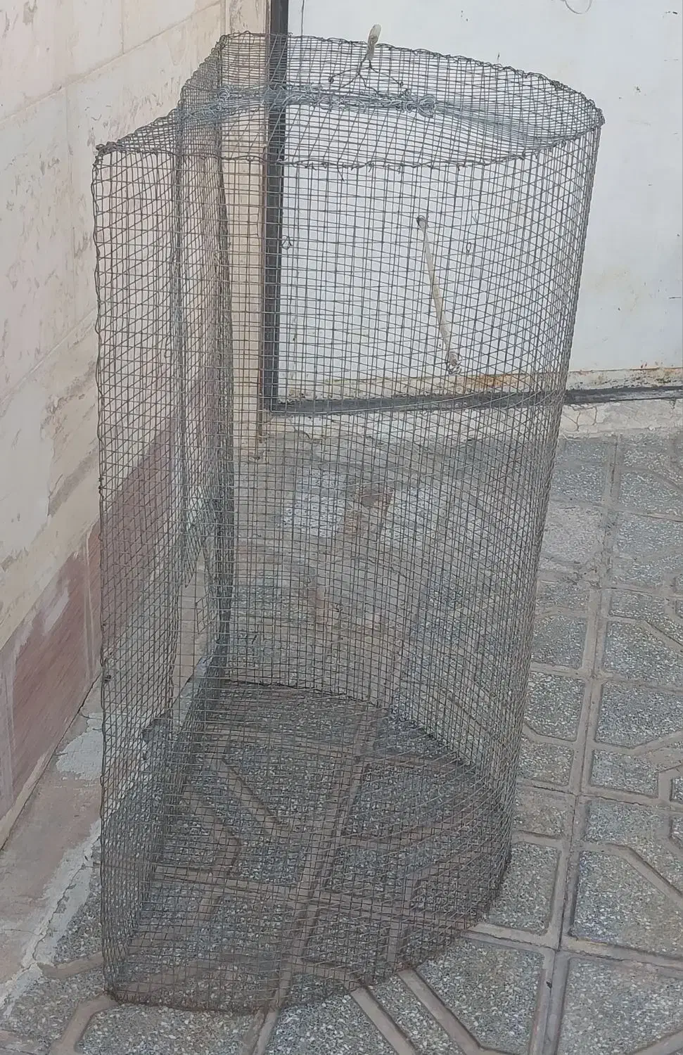 قفس|لوازم جانبی حیوانات|مشهد, ابرغن|دیوار