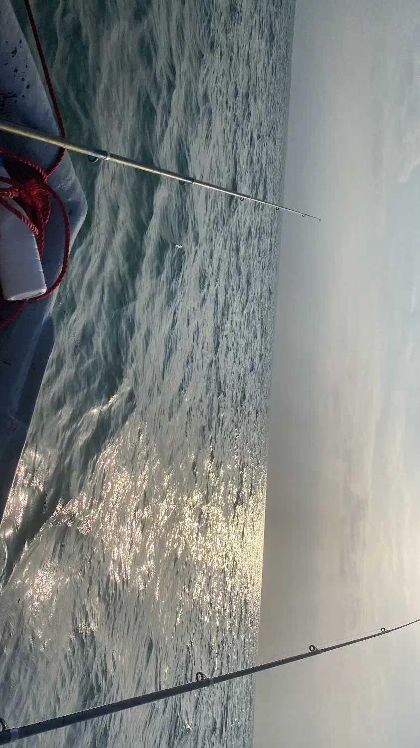 اجاره قایق برای قلاب در دریا|ماهیگیری|ساری, |دیوار