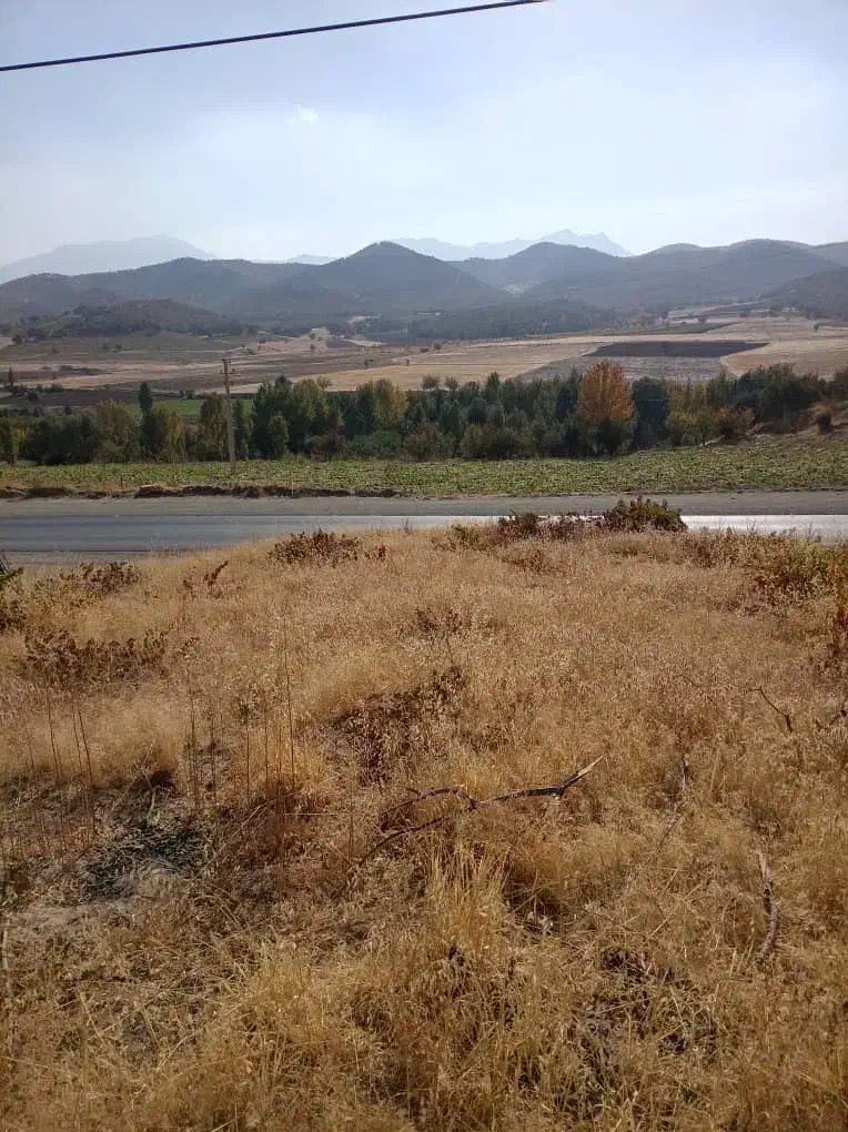 ۳هزار متر زمین کشاورزی روی خیابان اصلی|فروش زمین و ملک کلنگی|مریوان, |دیوار