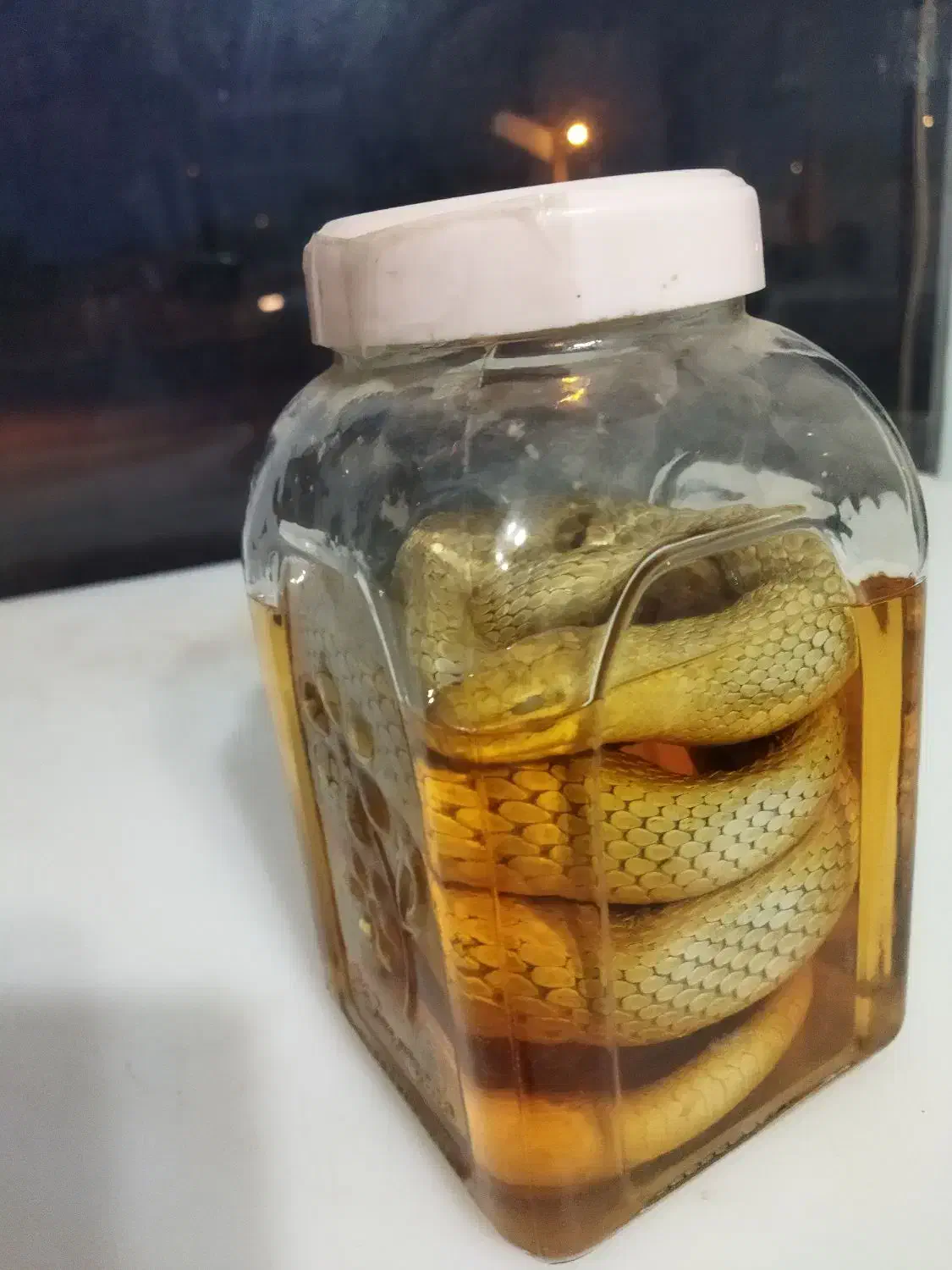 یخچال ایستاده فروشگاهی|فروشگاه و مغازه|سجاس رود, |دیوار