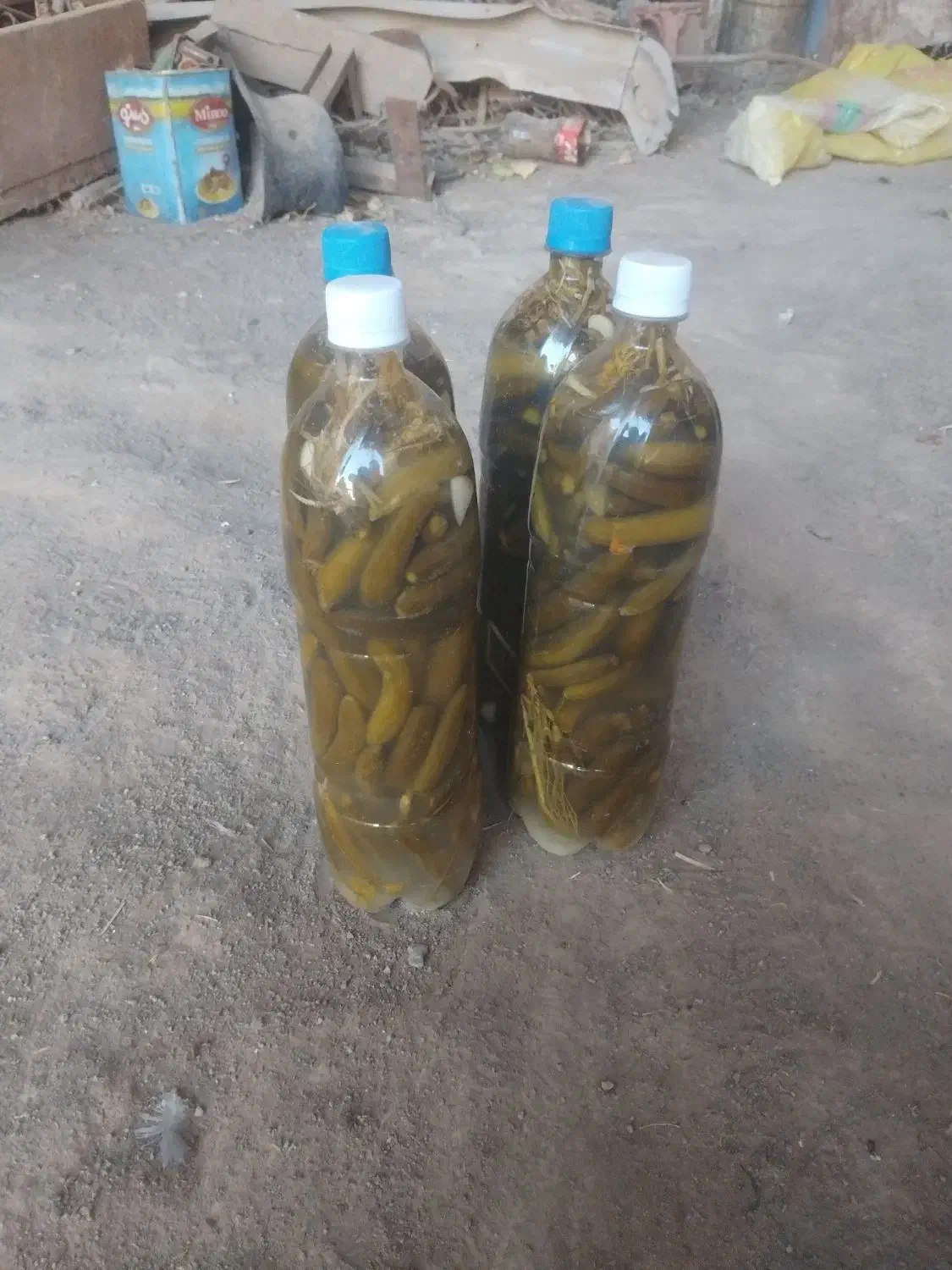 خیار شور|خوردنی و آشامیدنی|سراب, |دیوار