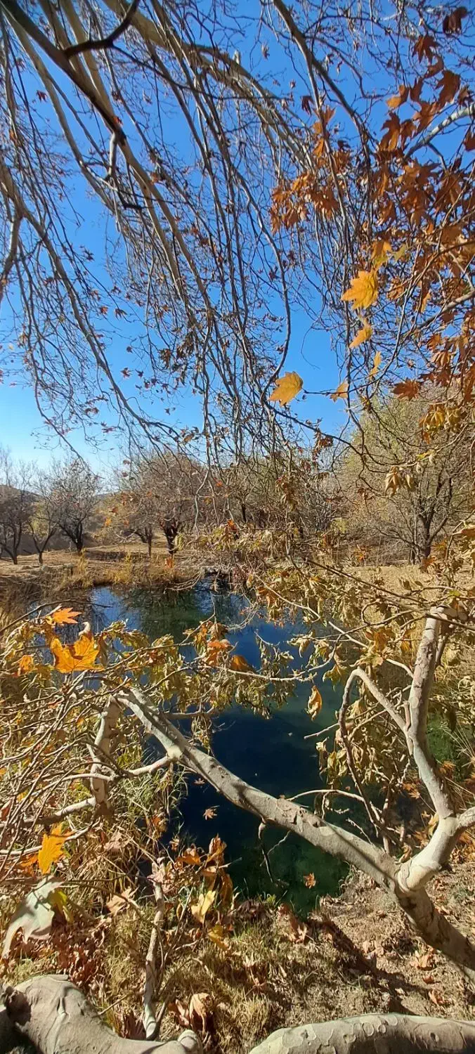 کوییک صفر|خودرو سواری و وانت|بروجرد, |دیوار