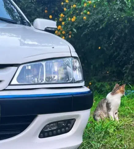 چراغ جلوکنسول آیینه برف پاکن پژو|قطعات یدکی و لوازم جانبی|قزوین, |دیوار