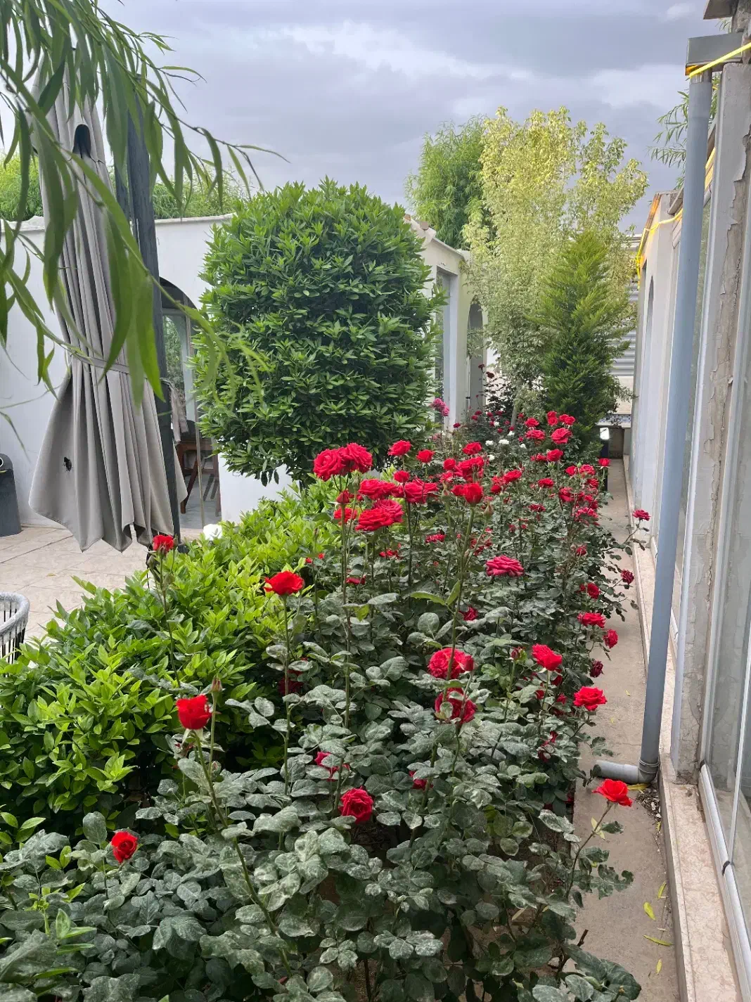 کمک اشپز ایرانی و پارکبان|استخدام خدمات فروشگاه و رستوران|مشکین‌دشت, |دیوار