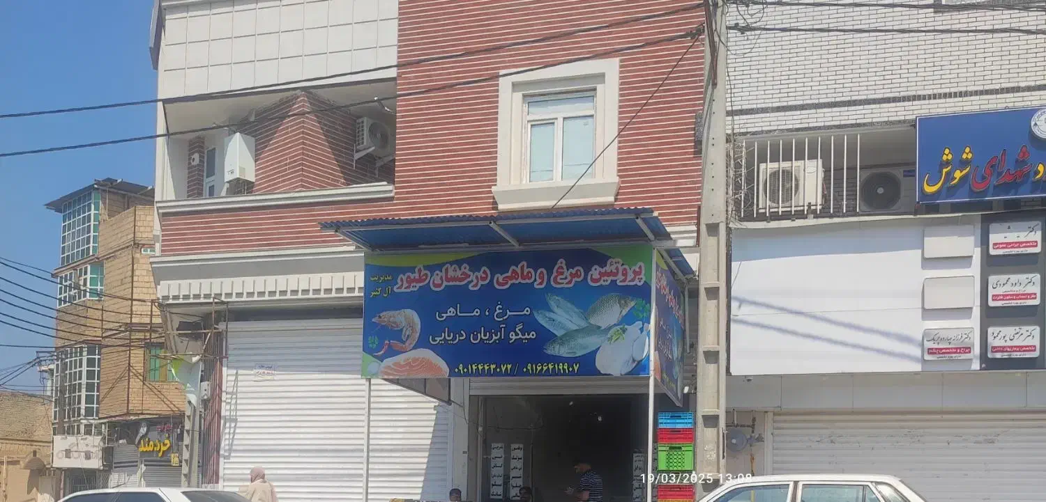 ماهی دریا پرورشی رودخانه همه انواع ماهی مرغ تعونی|ماهی|شوش, |دیوار