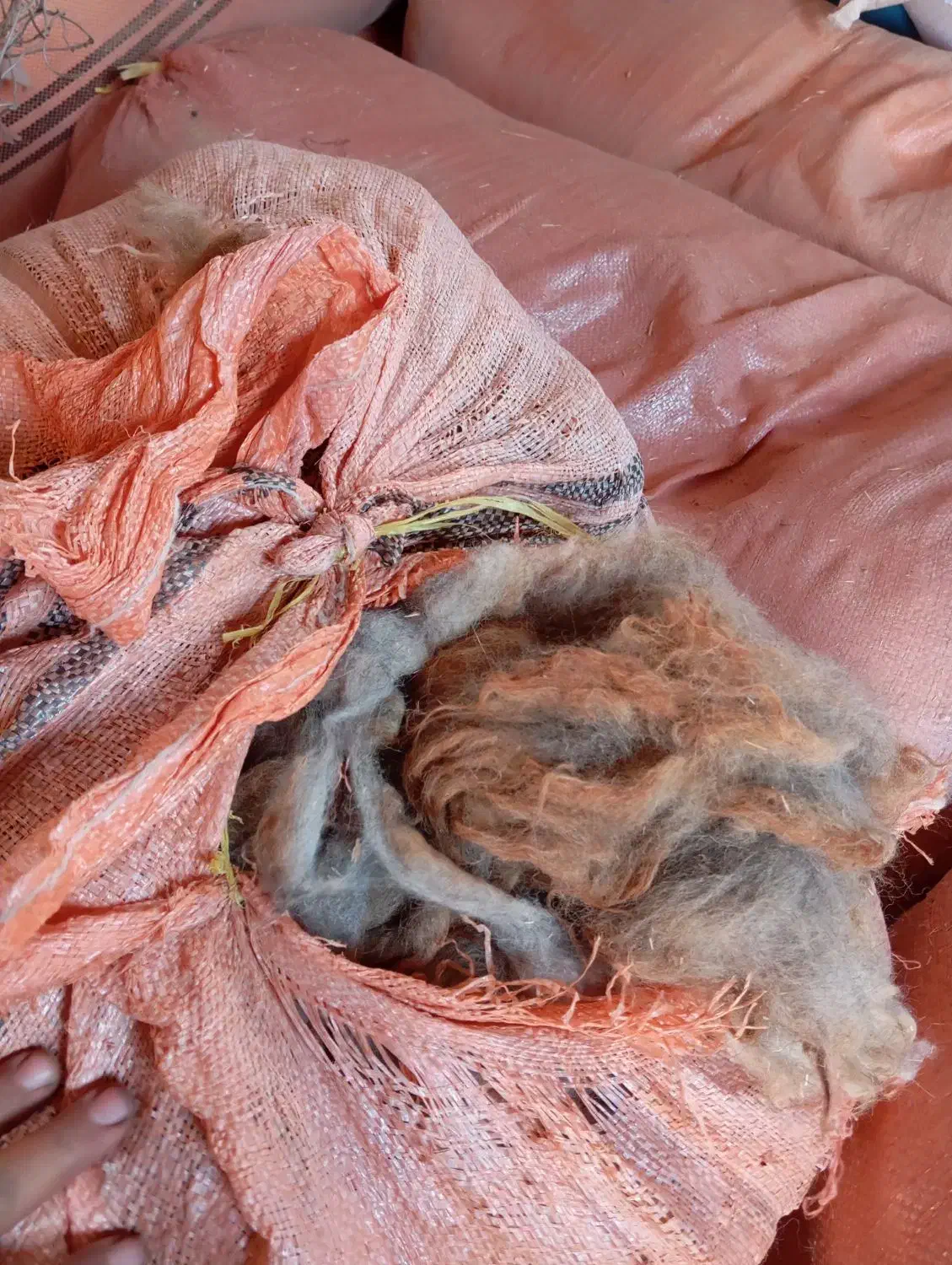 پشم|رختخواب، بالش، پتو|اندیمشک, |دیوار