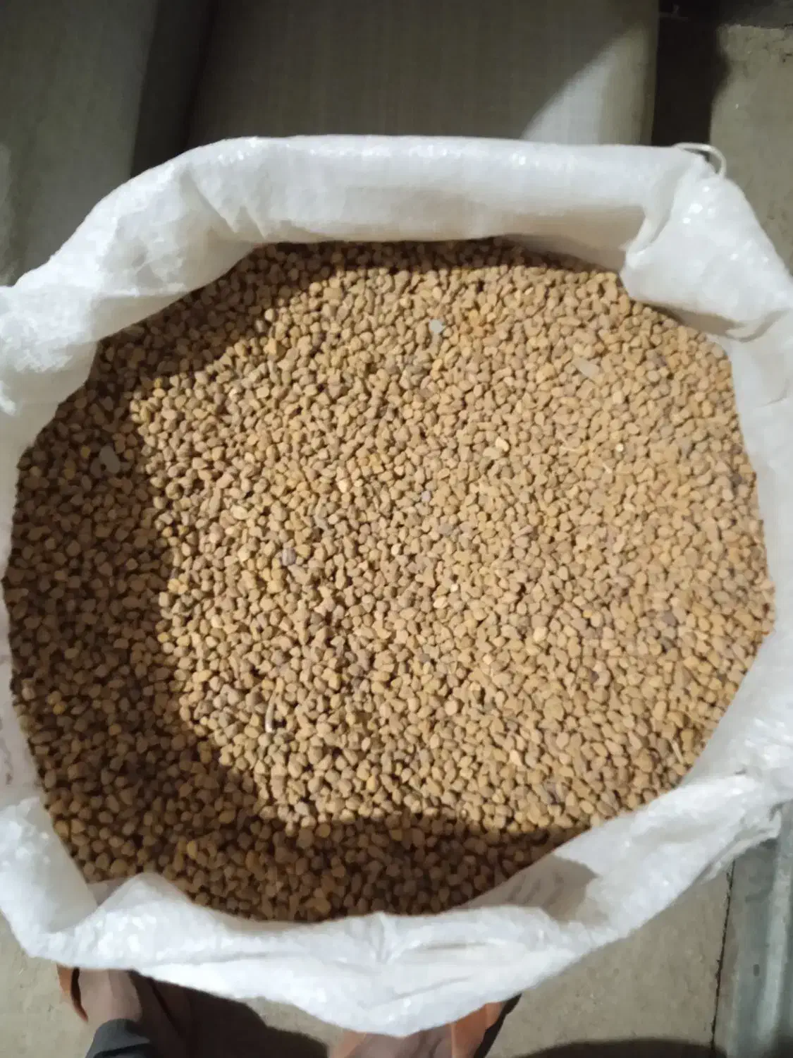 فروش نخود|خدمات باغبانی و درختکاری|بانه, |دیوار