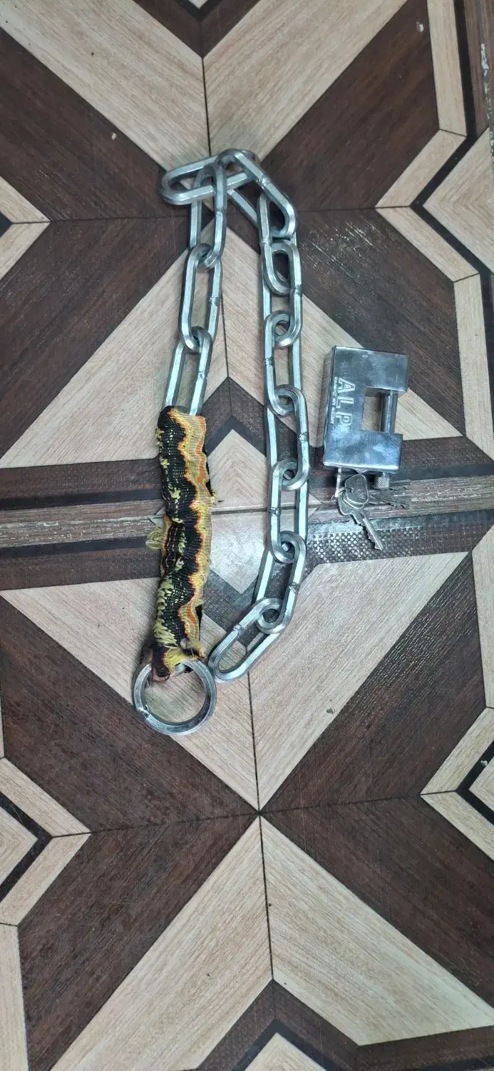 قفل وزنجیر فولادی|ابزارآلات|کرمانشاه, |دیوار