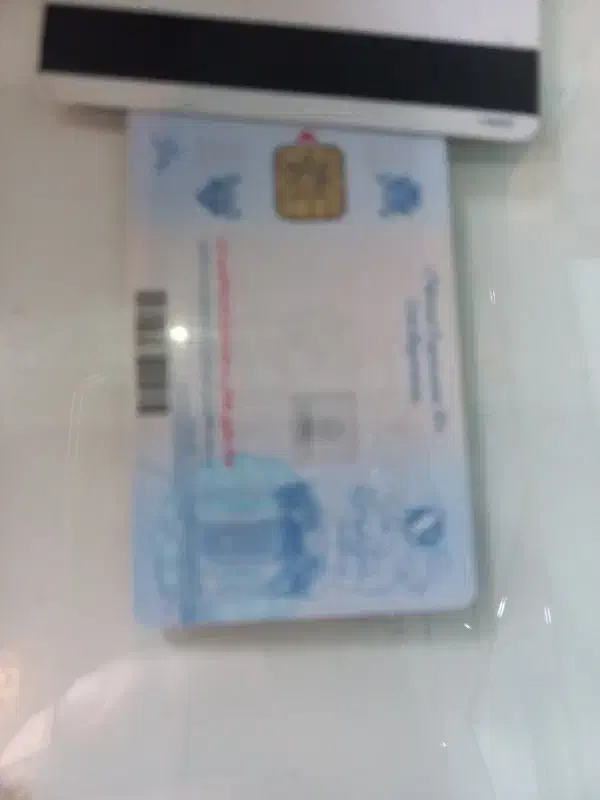 مدارک گم شده|اشیا|ساوه, |دیوار