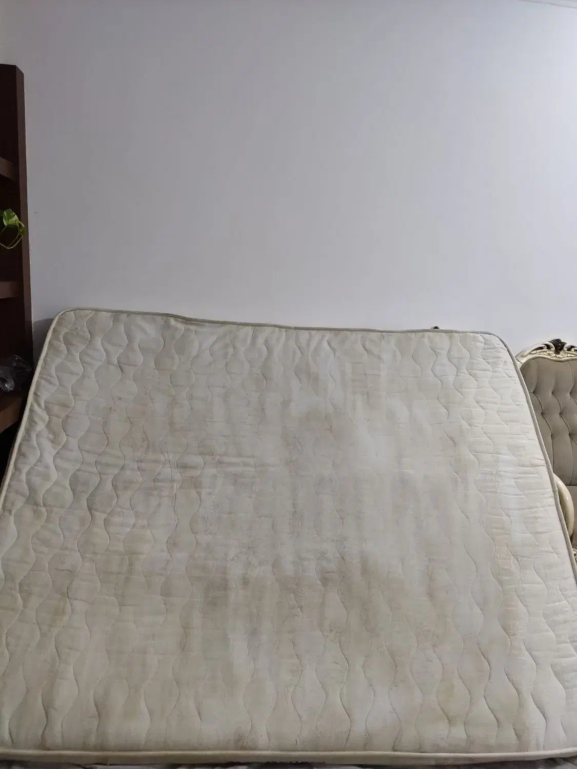 تشک تخت|تشک تختخواب|مشهد, دوست آباد|دیوار