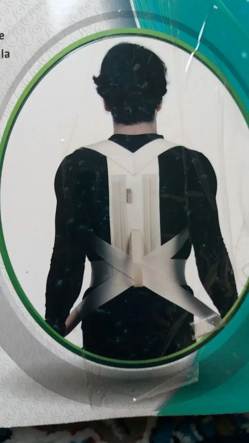 قوزبند کشی|آرایشی، بهداشتی، درمانی|نورآباد, |دیوار