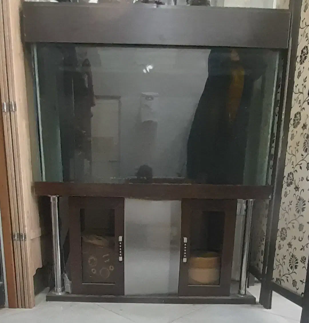 آکواریوم|ماهی|گرمدره, |دیوار