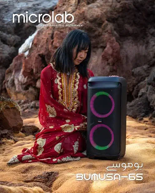 اسپیکر میکرولب با کنترل و میکروفون بوموسی|سیستم صوتی خانگی|اراک, |دیوار