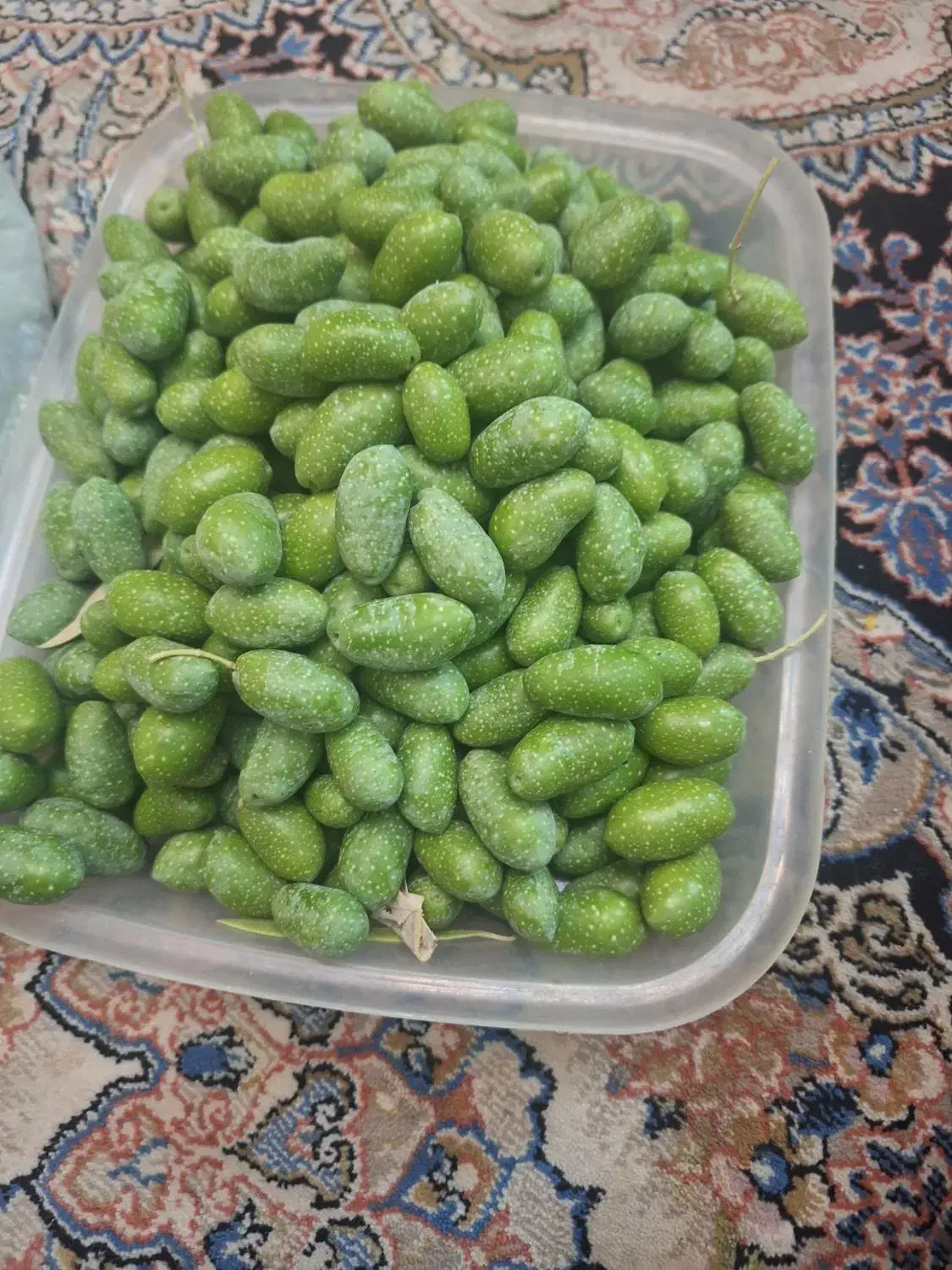 زیتون سبز|خوردنی و آشامیدنی|شیراز, طلاب|دیوار
