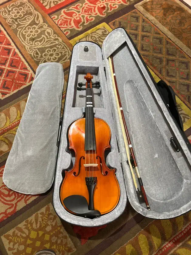 ویالون student|ویولن|رشت, گلسار|دیوار