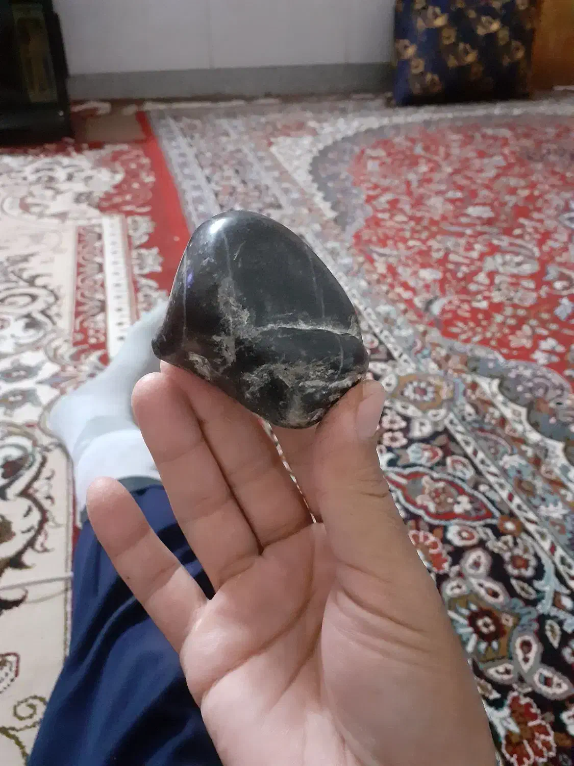 یک عددفسیل جا نوری طبیعی|کلکسیون اشیاء عتیقه|اشتهارد, |دیوار