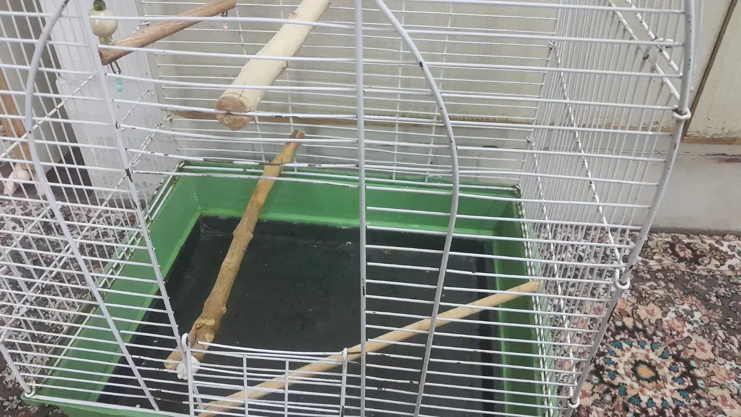 قفس|لوازم جانبی حیوانات|قم, حاج خلیل|دیوار