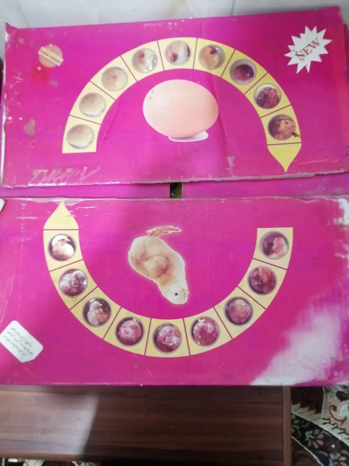 دستگاه جوجه کشی|لوازم جانبی حیوانات|شادگان, |دیوار