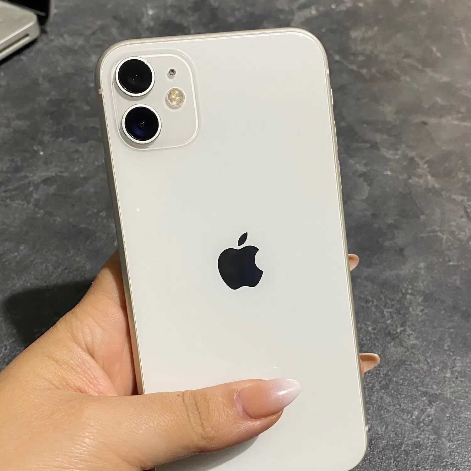 iPhone 12 mini|موبایل|مشهد, بهشت|دیوار