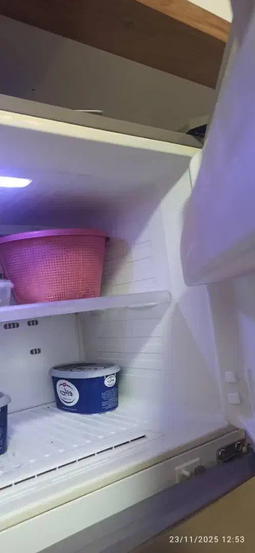 یخچال سامسونگ اورجینال. پلمپ. به شرط کارشناسی|یخچال و فریزر|بندرعباس, |دیوار