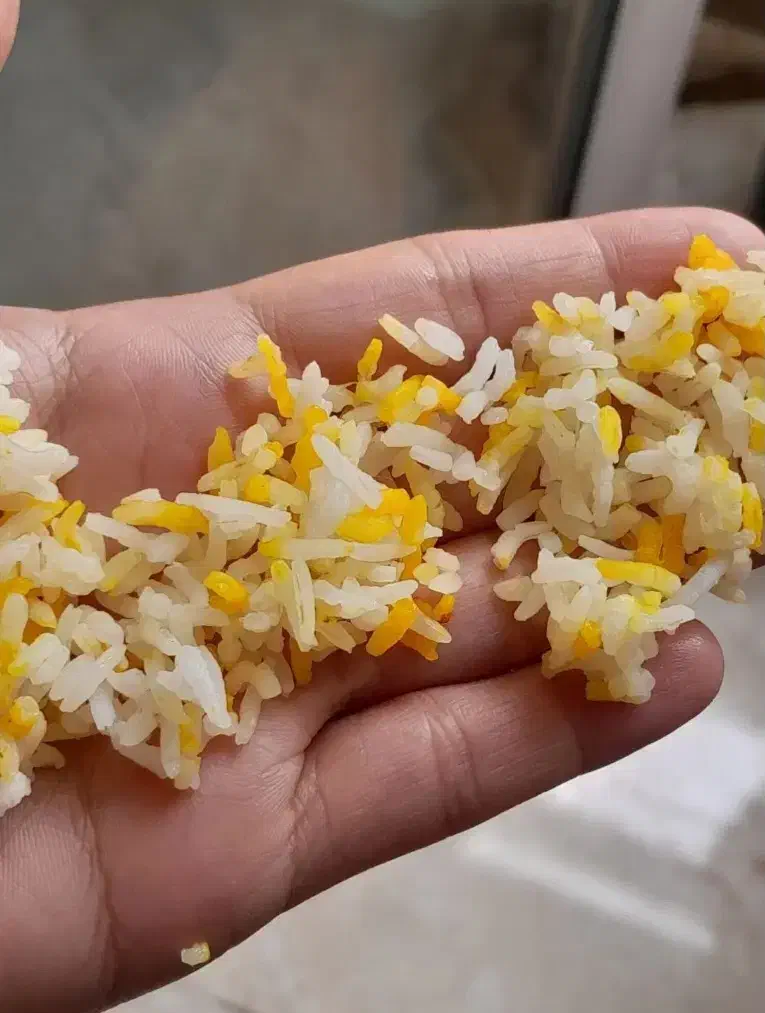 برنج طارم محلی معطر ومرغوب|خوردنی و آشامیدنی|ساری, |دیوار