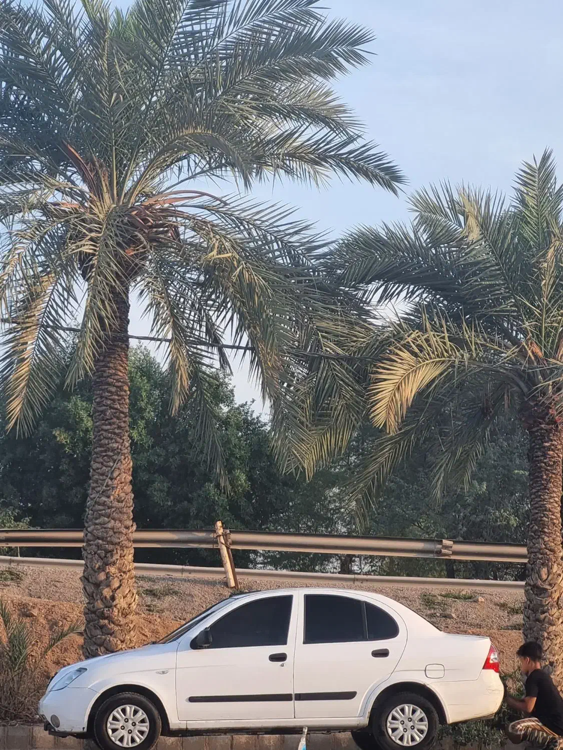 تیبا ۱ مدل ۹۳|خودرو سواری و وانت|اهواز, عامری|دیوار