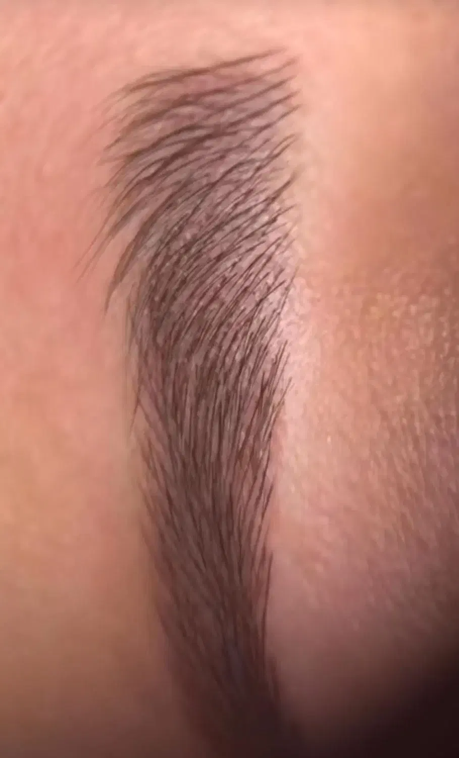 آرایش دائم فیبروز آموزش|خدمات آموزشی|تهران, میرداماد|دیوار