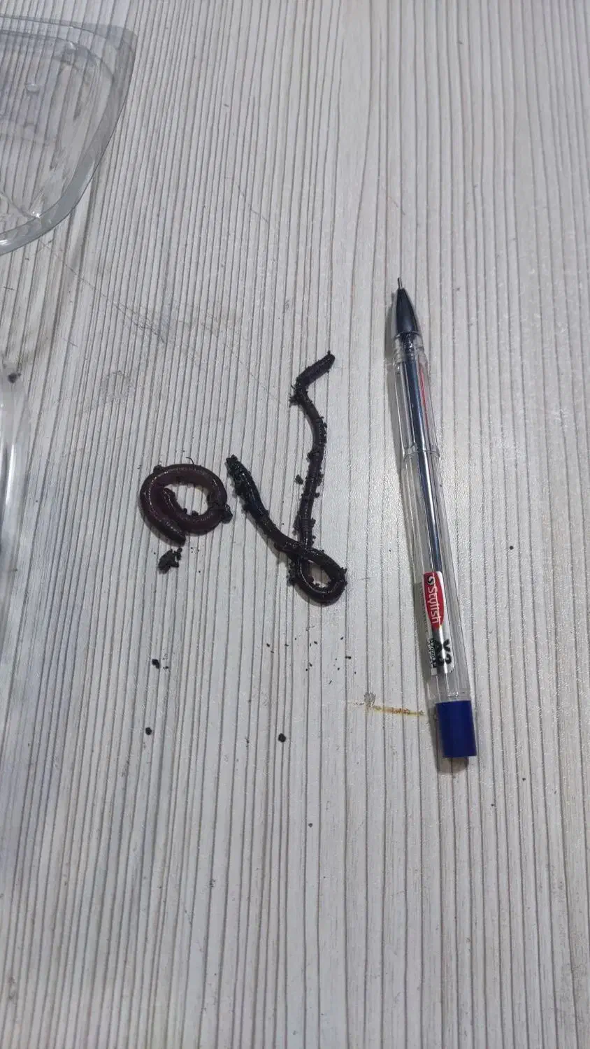 ماهیگیری|ماهیگیری|اصفهان, عمان سامانی|دیوار