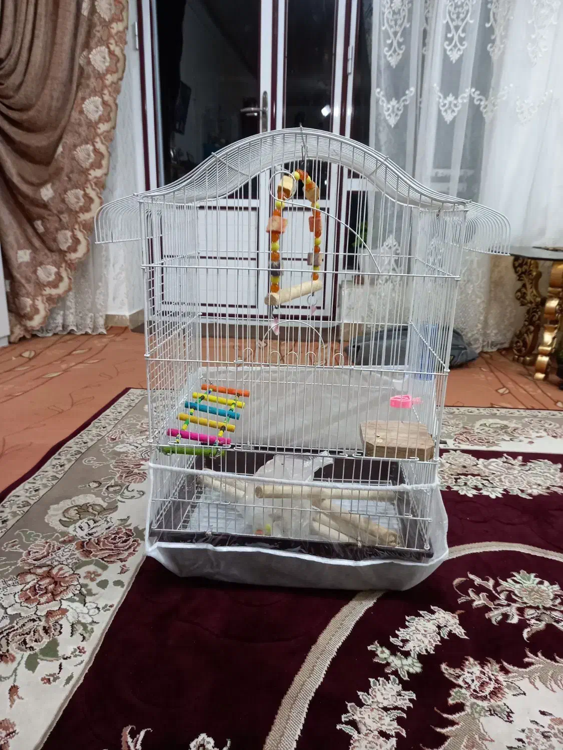 پرنده قفس|لوازم جانبی حیوانات|مرند, |دیوار