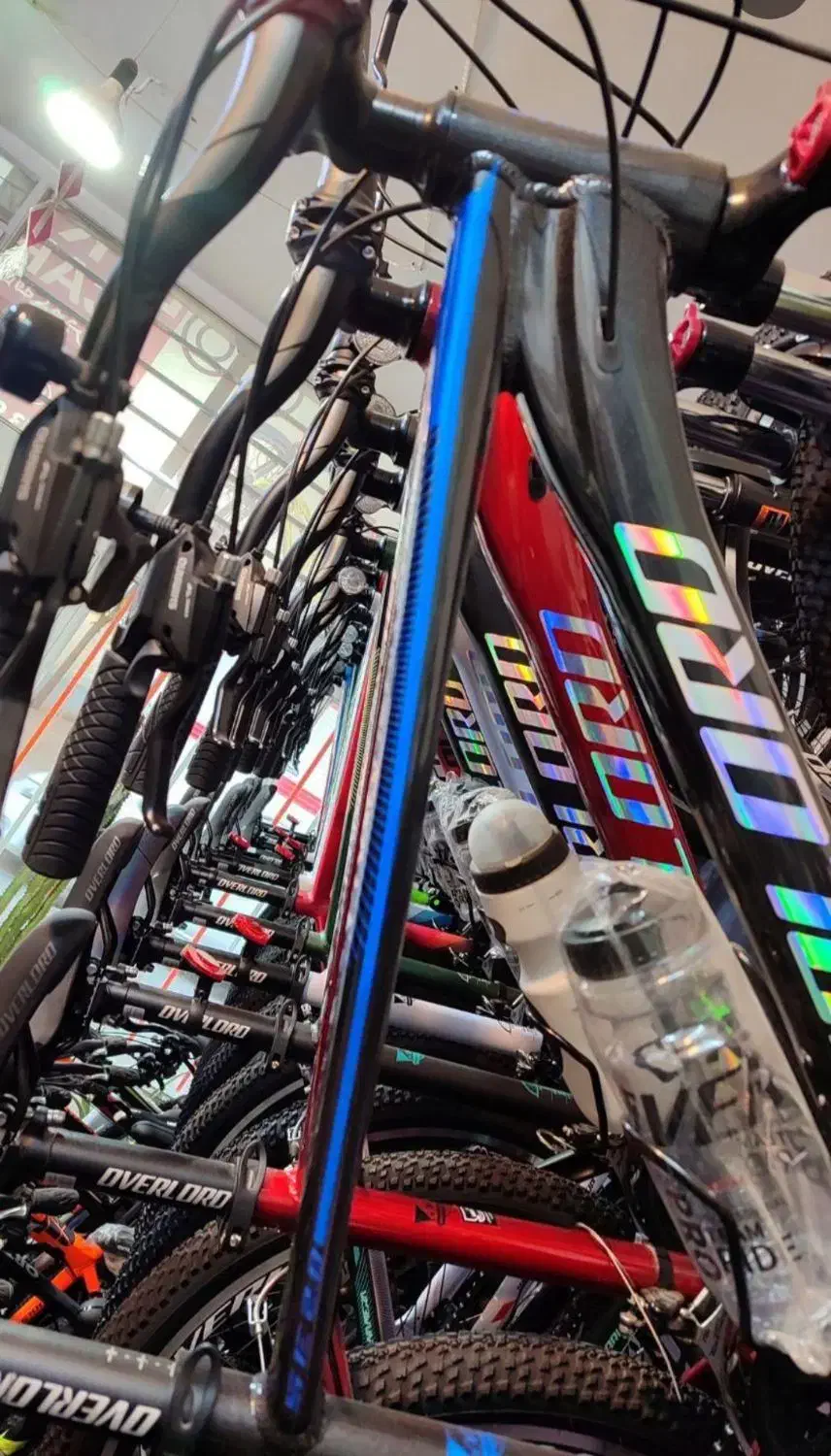 دوچرخه اورلوردETX010 آراددوچرخ|دوچرخه، اسکیت، اسکوتر|قم, شهید صیاد شیرازی|دیوار