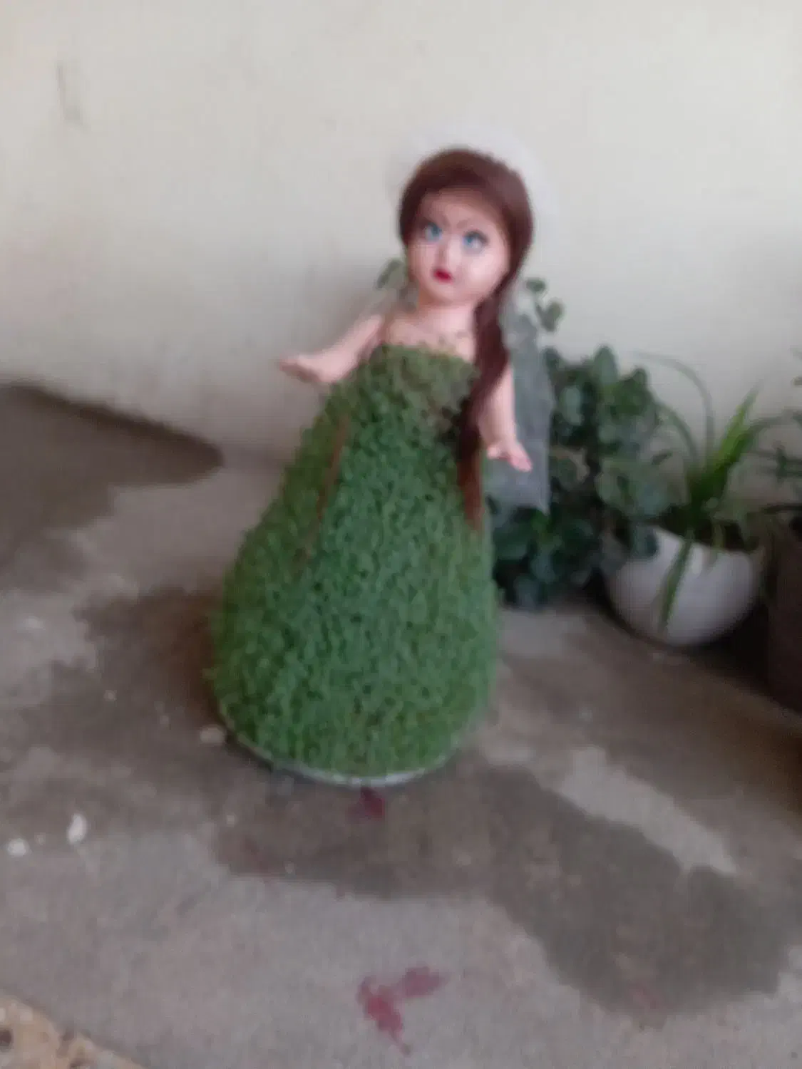 سبزه طبیعی|گل و گیاه طبیعی|بروجرد, |دیوار