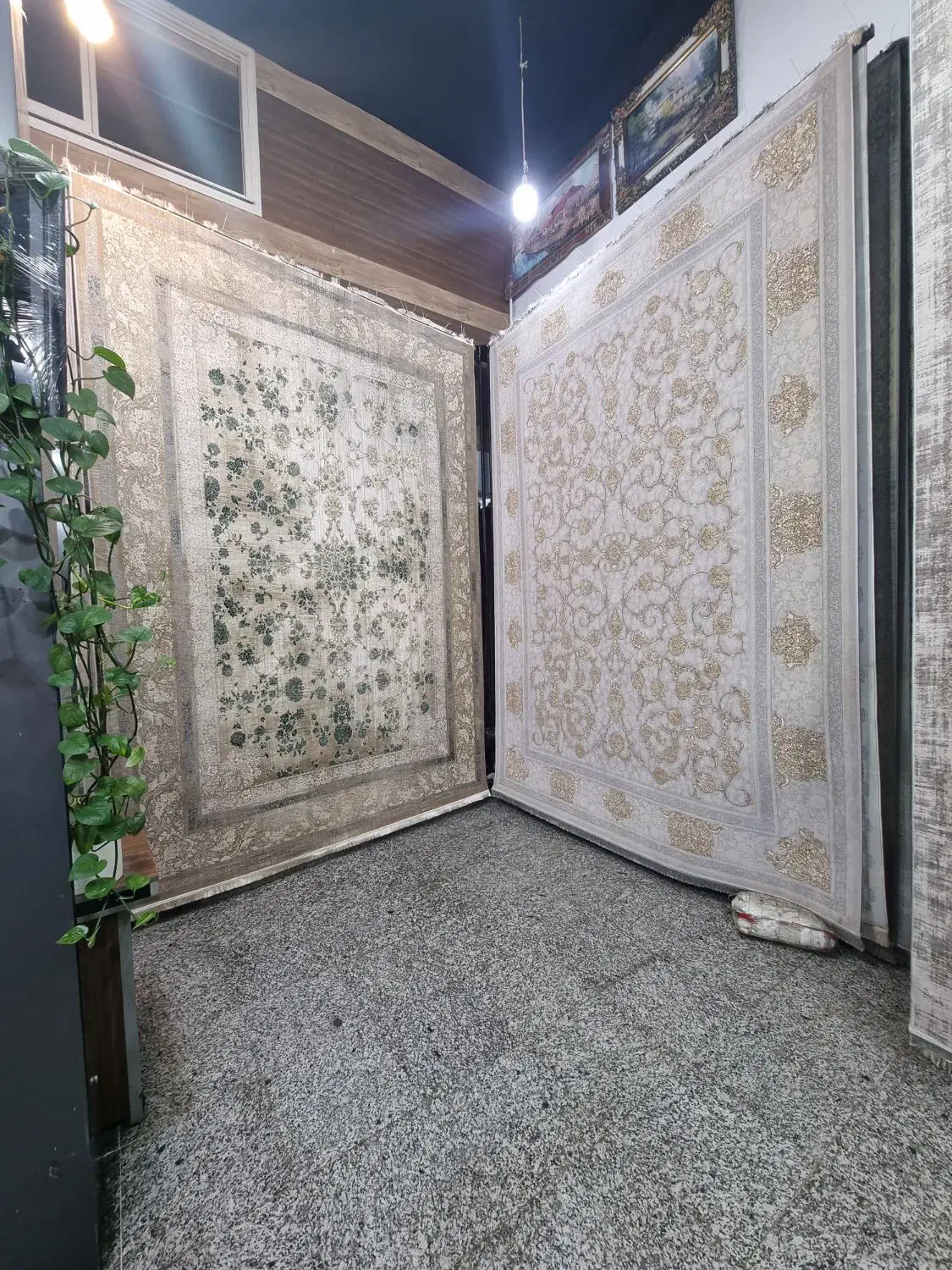 مینی مال فرش /|فرش|رشت, باهنر|دیوار