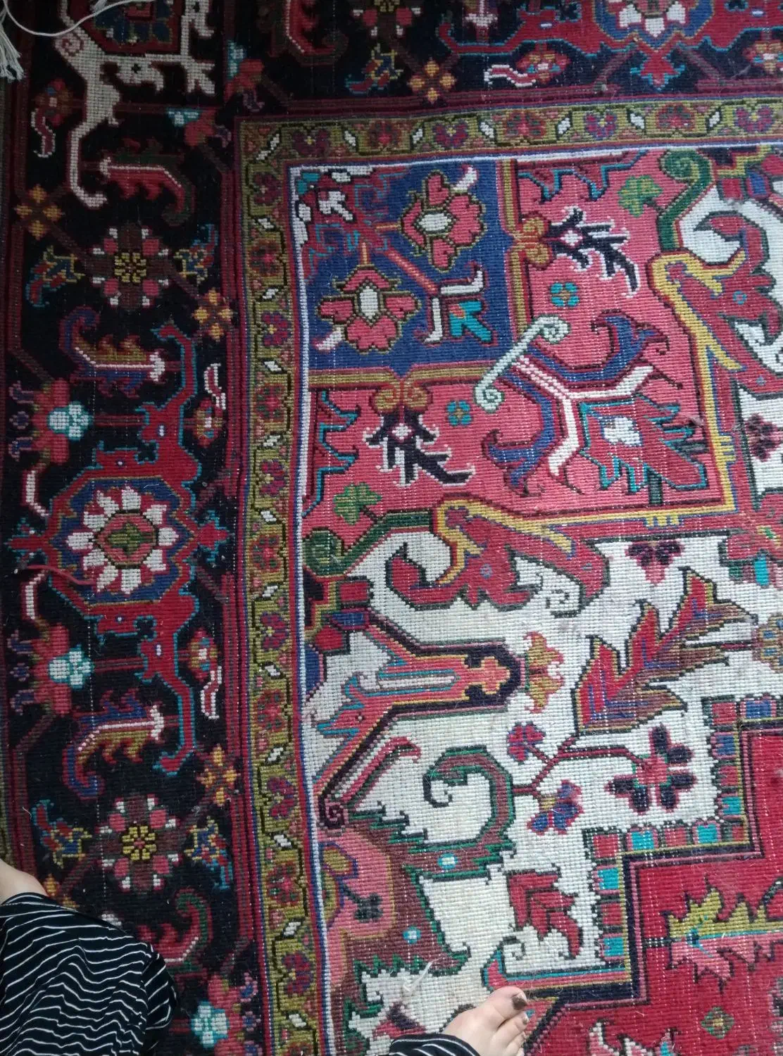 فرش 12متری تک هریس تاجری|فرش|ارومیه, |دیوار