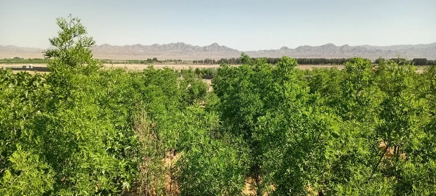 تصویر 5