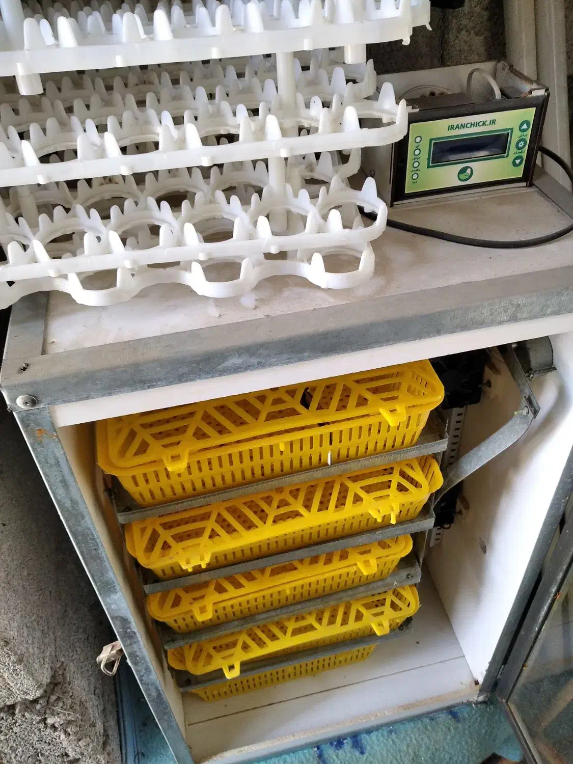 جوجه کشی آسان با دستگاه 168عددی ایران چیک|لوازم جانبی حیوانات|بندر انزلی, چهارفریضه|دیوار