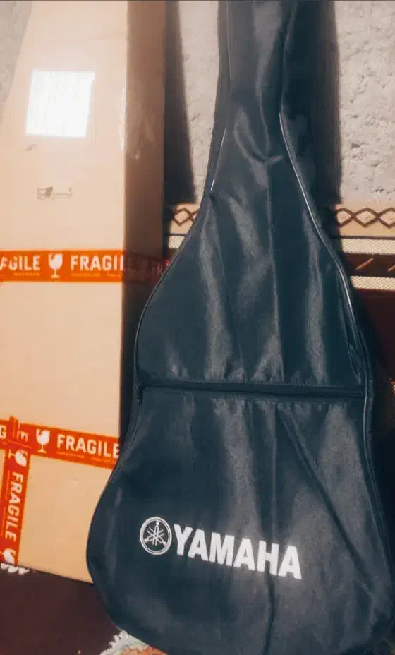 گیتار کلاسیک|گیتار، بیس، امپلیفایر|پارس‌آباد, |دیوار