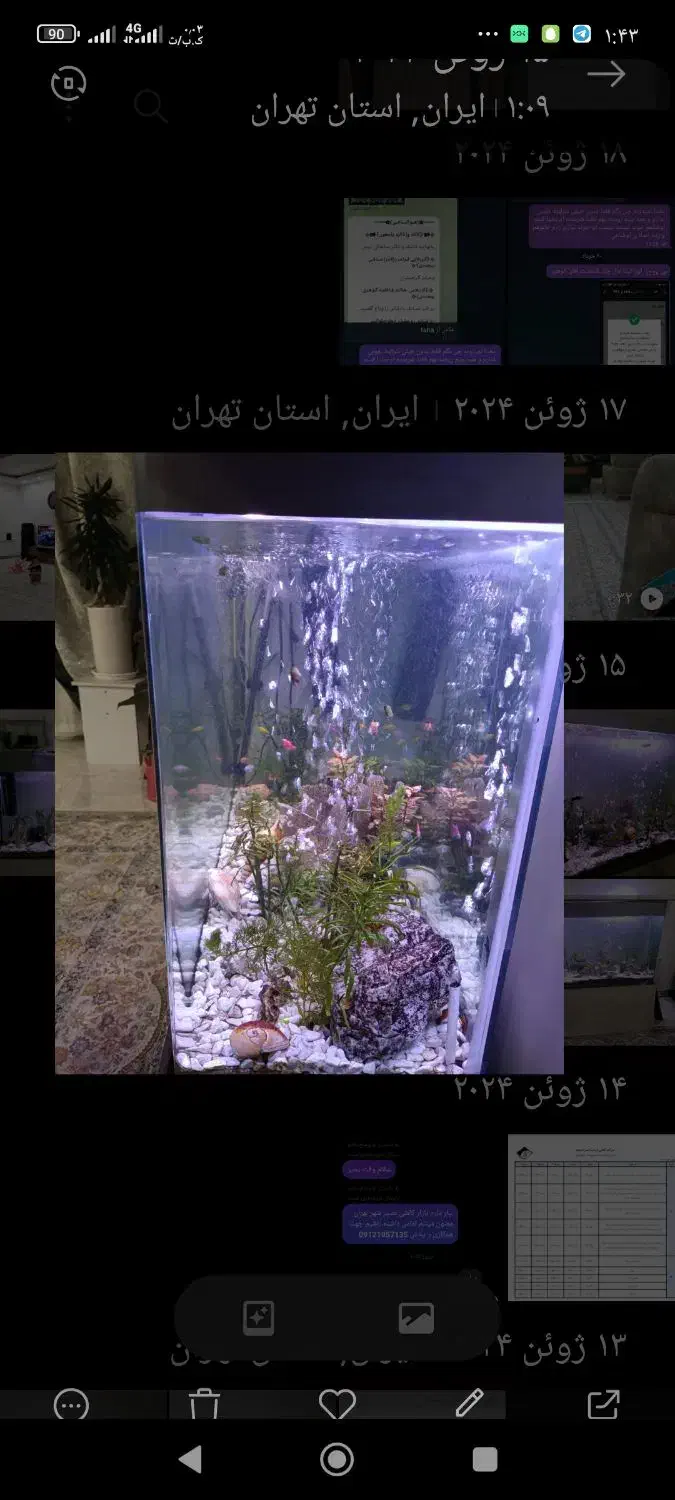 آکواریوم ۱۰۰/۴۰ در ارتفاع شصت|ماهی|رباط‌کریم, رباط‌کریم|دیوار