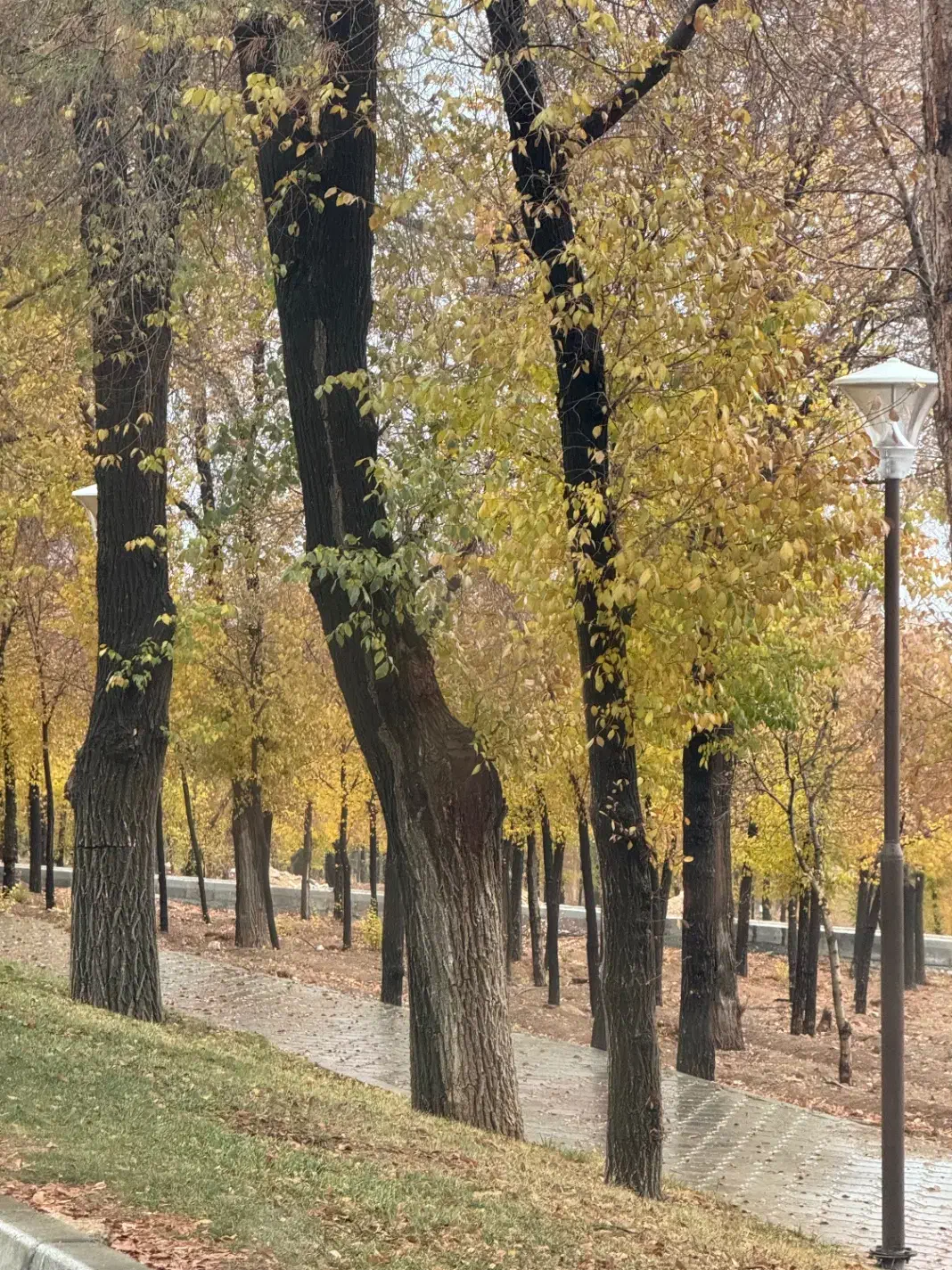 کارگر ساده و استاد کار ام دی اف|استخدام صنعتی، فنی، مهندسی|شهرکرد, |دیوار