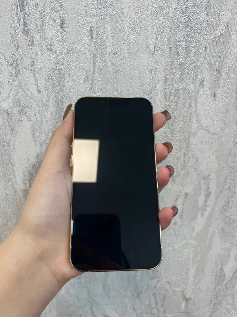 ۱۳پرو طلایی با اقساط ویژه طلایی|موبایل|اصفهان, احمدآباد|دیوار