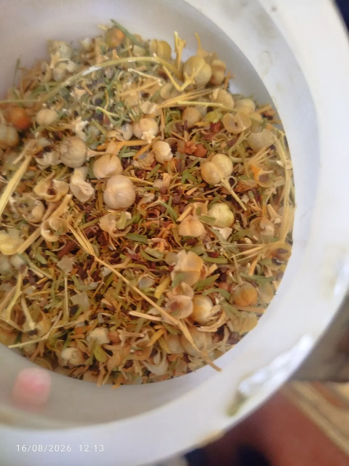 اسپند|گل و گیاه طبیعی|چناران, |دیوار