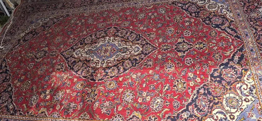 فرش دستباف|فرش|شیراز, اصلاح‌نژاد|دیوار
