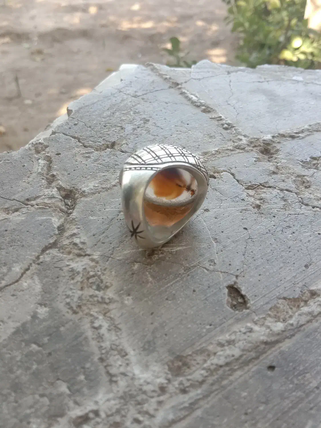 شجر|جواهرات|بیرجند, |دیوار