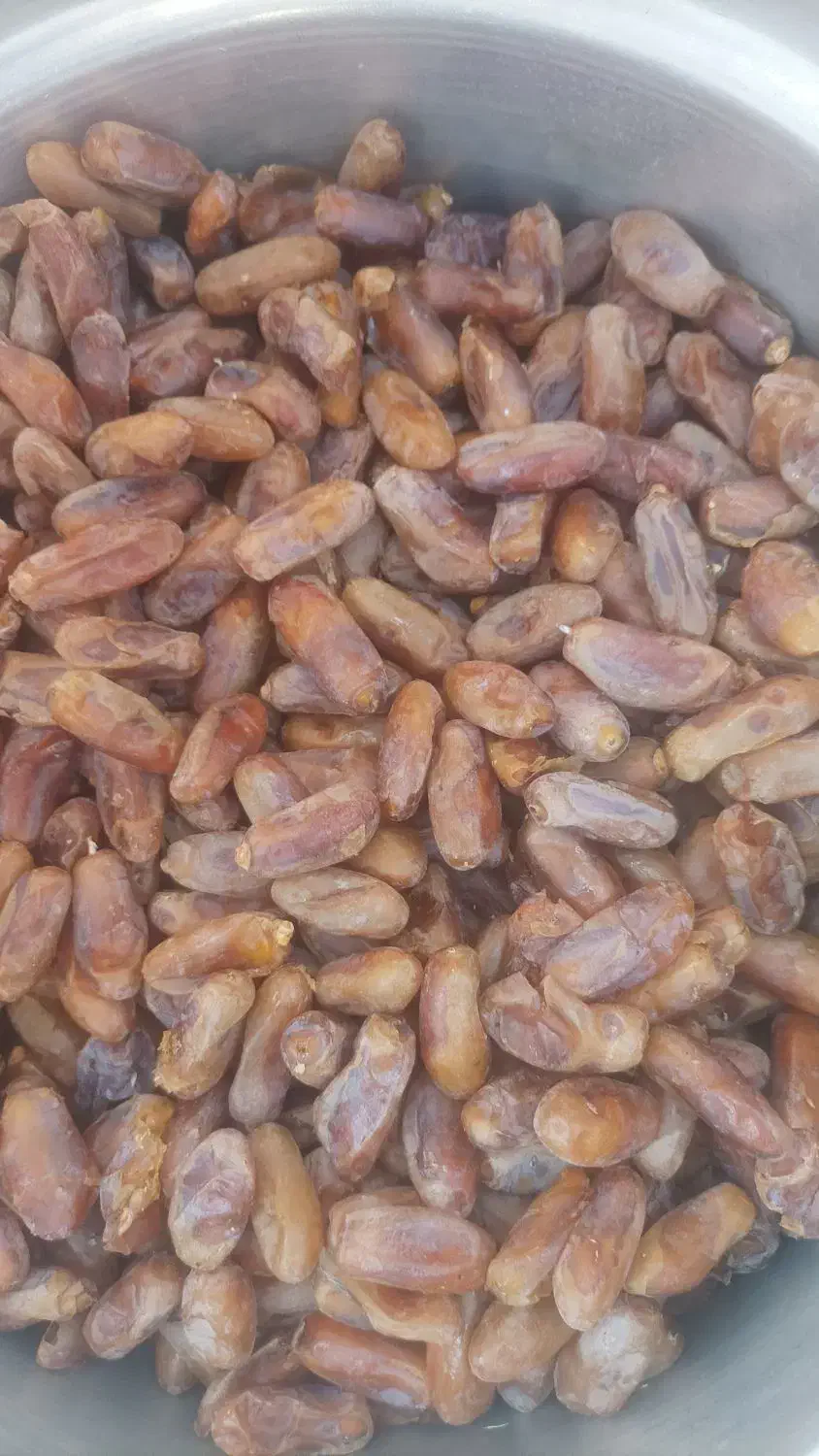 خرما شاهانی پاک شده درجه یک خفر .|خوردنی و آشامیدنی|خفر, |دیوار