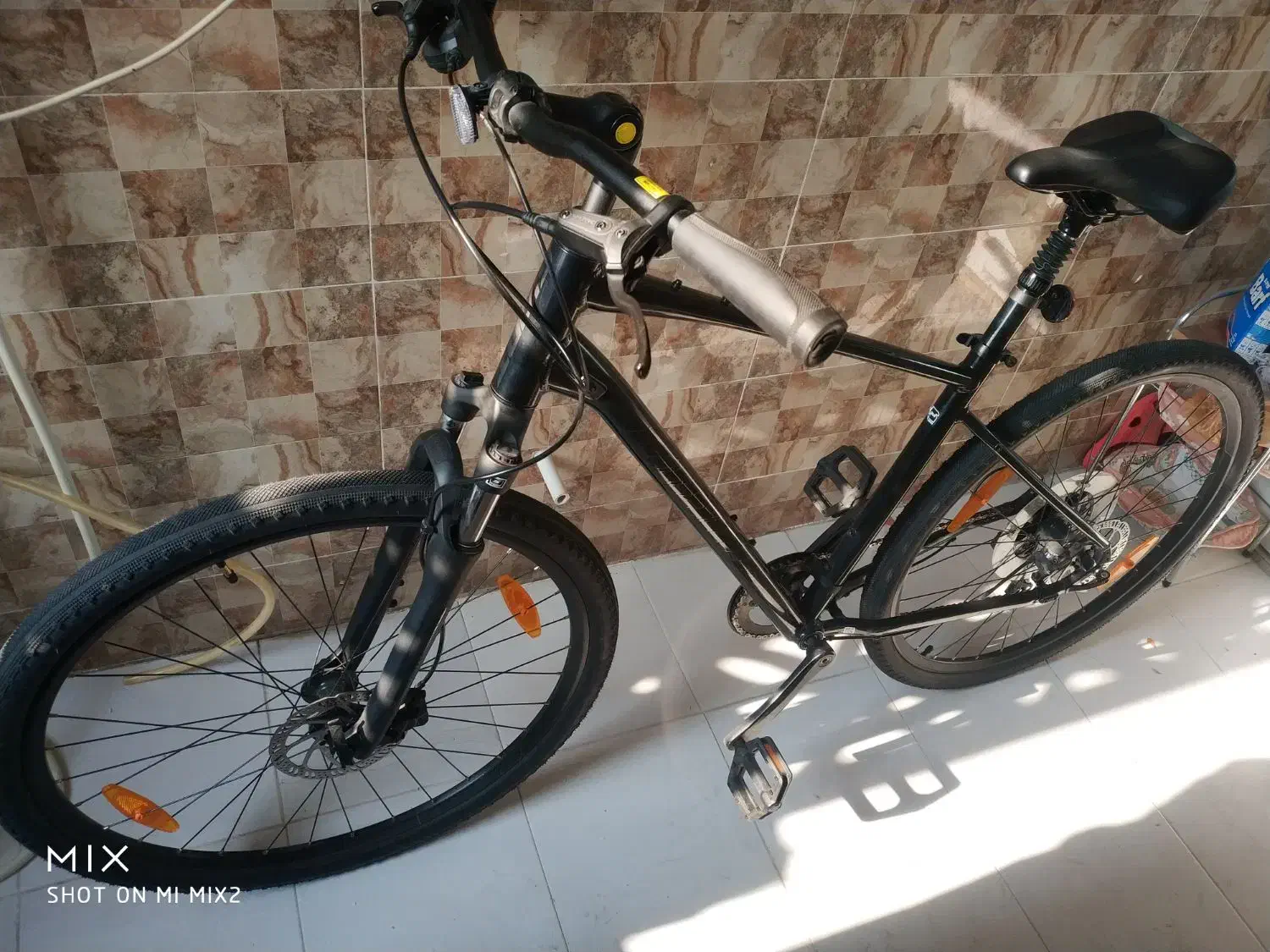 جاینت سایپرس 2 Giant cypress 2|دوچرخه، اسکیت، اسکوتر|تهران, عباس‌آباد|دیوار