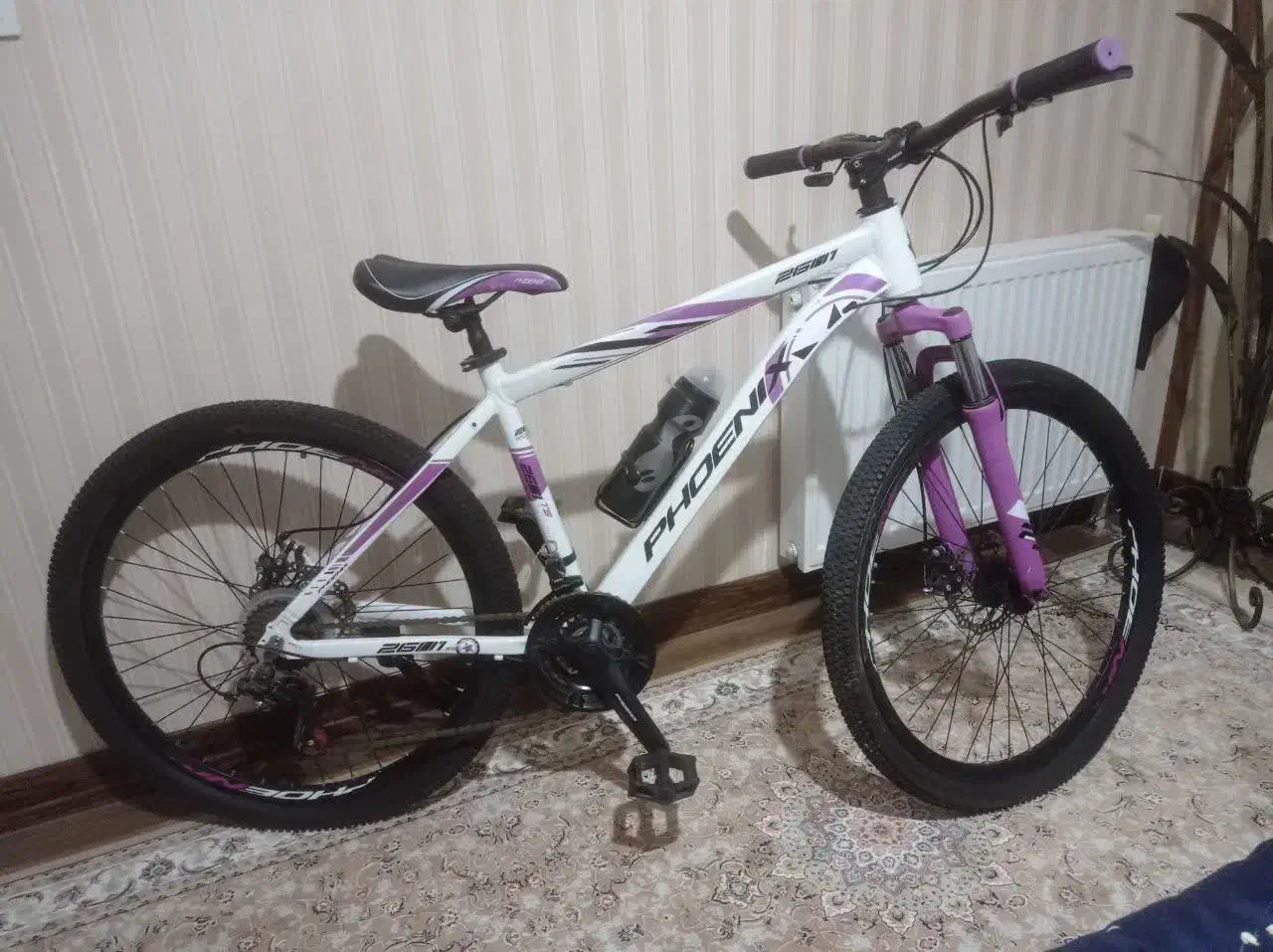 دوچرخه فونیکس ۲۶|دوچرخه، اسکیت، اسکوتر|پرند, فاز ۵|دیوار