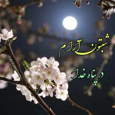 مدارک پیداشده|اشیا|تبریز, |دیوار