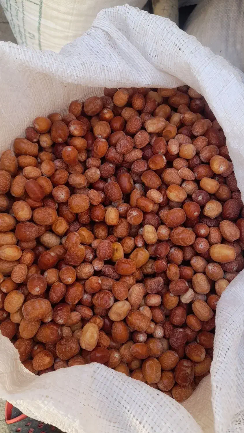 فروش سنجد درجه یک|خوردنی و آشامیدنی|تفرش, |دیوار